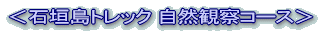 ���Ί_���g���b�N ���R�ώ@�R�[�X�� 