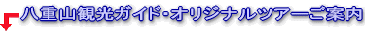 八重山観光ガイド・オリジナルツアーのご案内