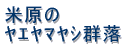 ���v�ۍ蓔�� 