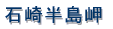 ���v�ۍ蓔�� 