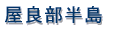 ���v�ۍ蓔�� 