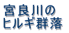 ���v�ۍ蓔�� 