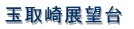 ���v�ۍ蓔�� 