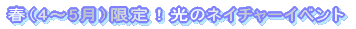 春限定!光のネイチャーイベント