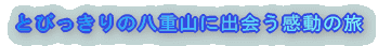 �Ƃт�����̔��d�R�ɏo������̗� 