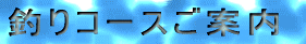 �ނ�R�[�X���ē� 