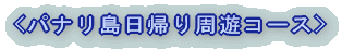 <�p�i�������A����V�R�[�X> 
