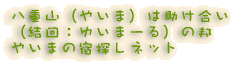 dRi₢܁j͏ iF䂢܁[j̖M ₢܂̏hTlbg 