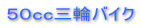 �T�O�����o�C�N 