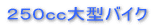 �Q�T�O������^�o�C�N 